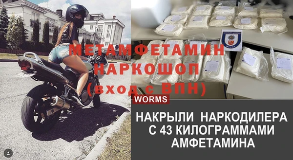 гидра Арсеньев
