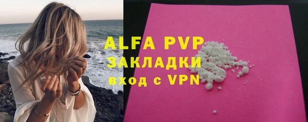 стаф Аркадак