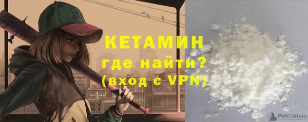 стаф Аркадак