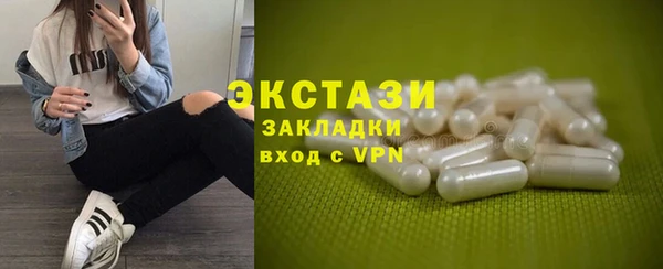 стаф Аркадак