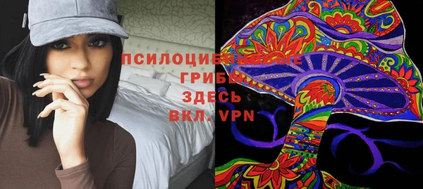 гидра Арсеньев
