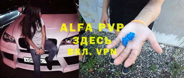 стаф Аркадак