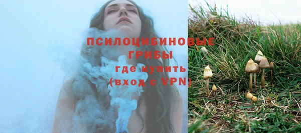 стаф Аркадак