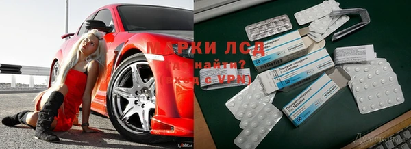 гидра Арсеньев