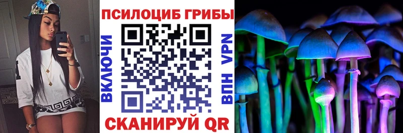 Галлюциногенные грибы Psilocybine cubensis  Купить закладки  Большой Камень 